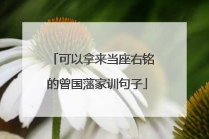 可以拿来当座右铭的曾国藩家训句子