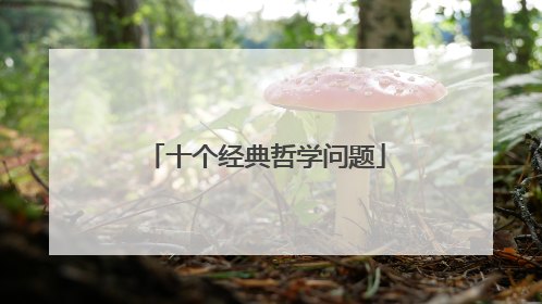 十个经典哲学问题