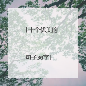 十个优美的句子30字