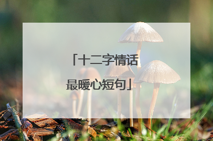 十二字情话最暖心短句