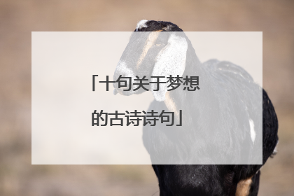 十句关于梦想的古诗诗句