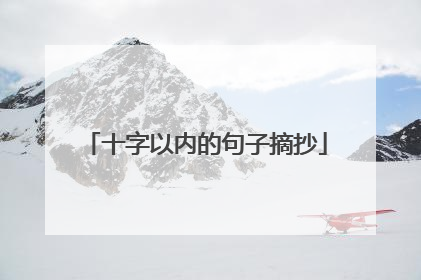 十字以内的句子摘抄