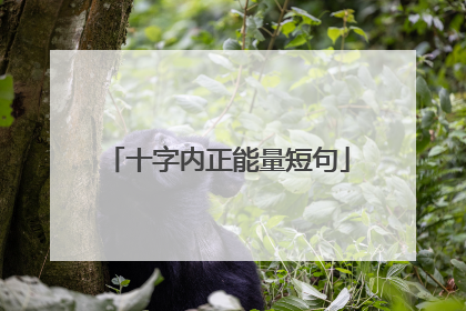 十字内正能量短句