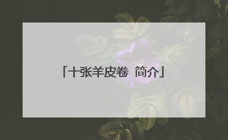 十张羊皮卷 简介