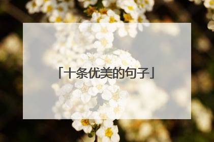 十条优美的句子