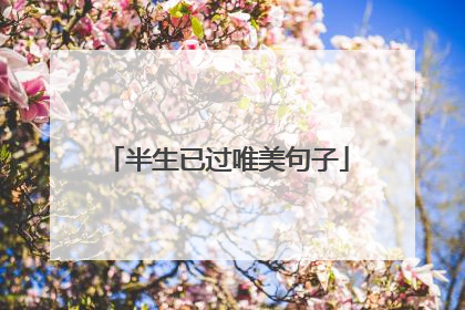 半生已过唯美句子