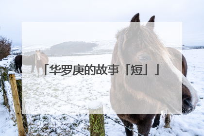 华罗庚的故事「短」