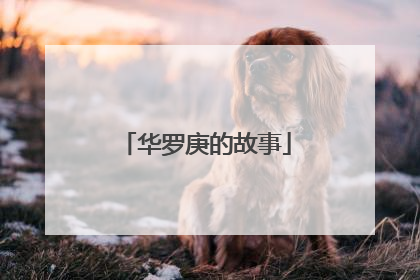 华罗庚的故事