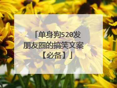 单身狗520发朋友圈的搞笑文案 【必备】