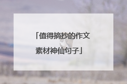 值得摘抄的作文素材神仙句子