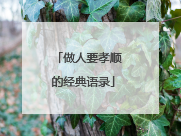 做人要孝顺的经典语录