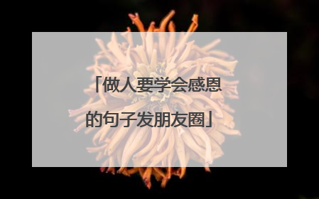 做人要学会感恩的句子发朋友圈