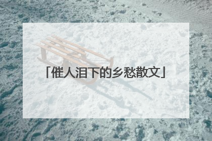 催人泪下的乡愁散文