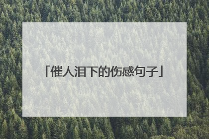 催人泪下的伤感句子
