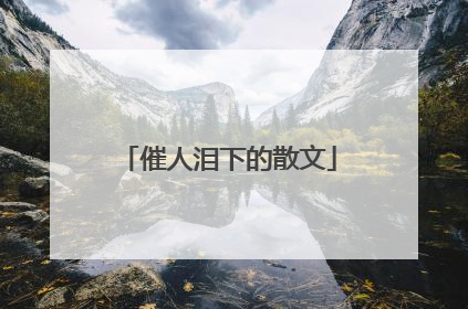 催人泪下的散文