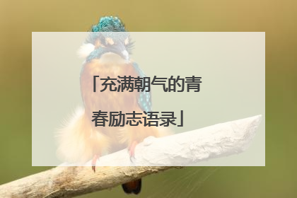 充满朝气的青春励志语录