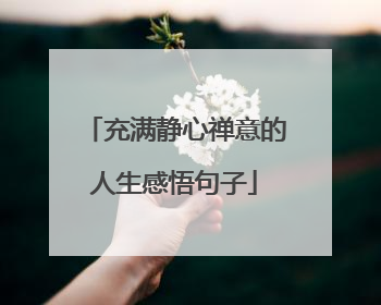 充满静心禅意的人生感悟句子