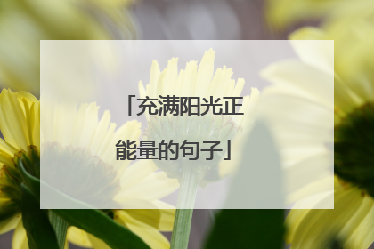 充满阳光正能量的句子