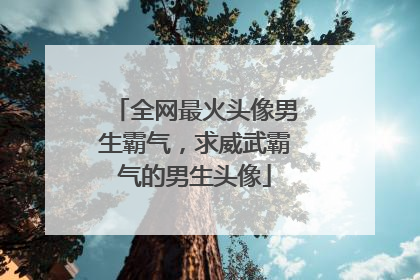 全网最火头像男生霸气,求威武霸气的男生头像