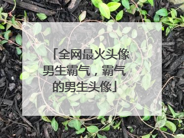 全网最火头像男生霸气,霸气的男生头像