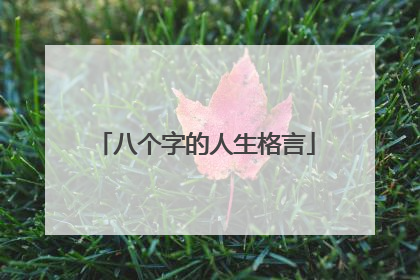 八个字的人生格言