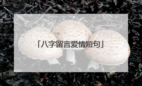 八字留言爱情短句