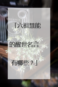 六祖慧能的醒世名言有哪些?