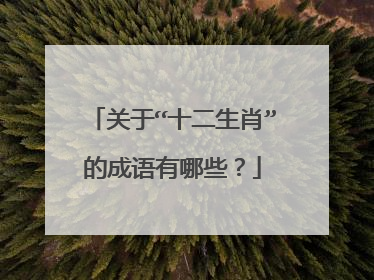 关于“十二生肖”的成语有哪些?