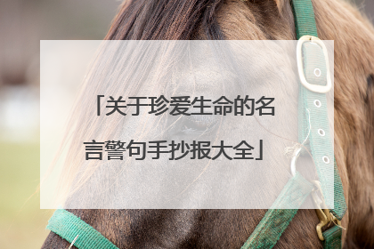 关于珍爱生命的名言警句手抄报大全