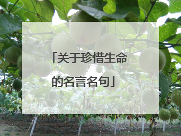 关于珍惜生命的名言名句