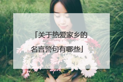 关于热爱家乡的名言警句有哪些