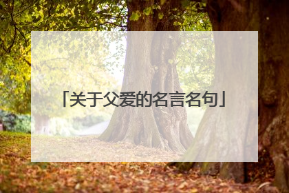 关于父爱的名言名句
