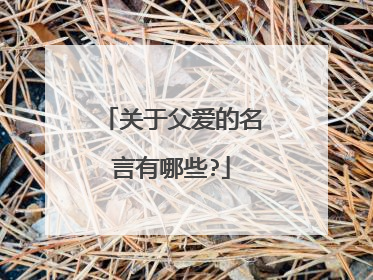 关于父爱的名言有哪些?