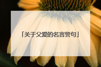 关于父爱的名言警句
