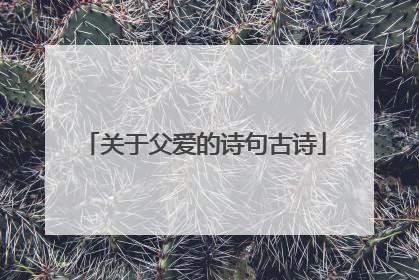 关于父爱的诗句古诗