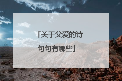 关于父爱的诗句句有哪些