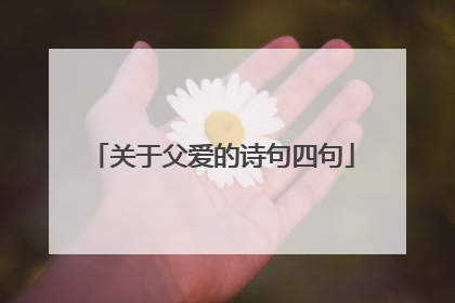 关于父爱的诗句四句