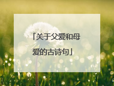 关于父爱和母爱的古诗句