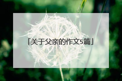 关于父亲的作文5篇