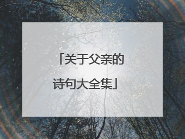 关于父亲的诗句大全集