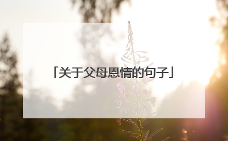 关于父母恩情的句子