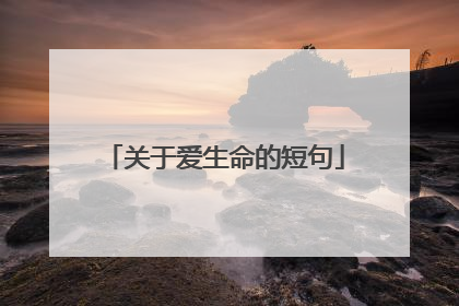 关于爱生命的短句