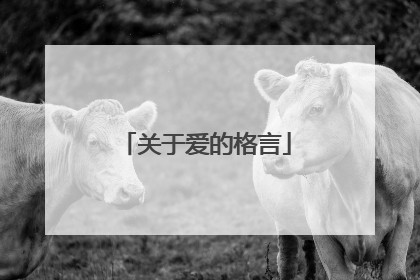 关于爱的格言