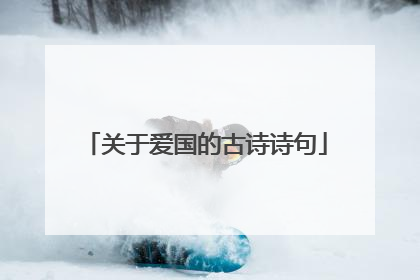 关于爱国的古诗诗句