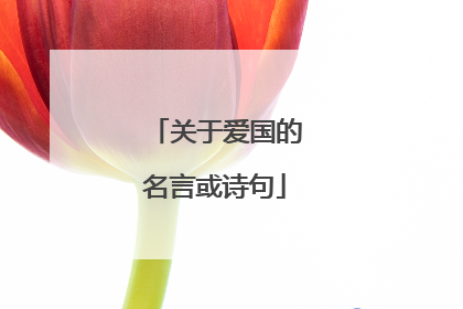 关于爱国的名言或诗句