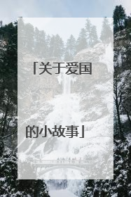 关于爱国的小故事
