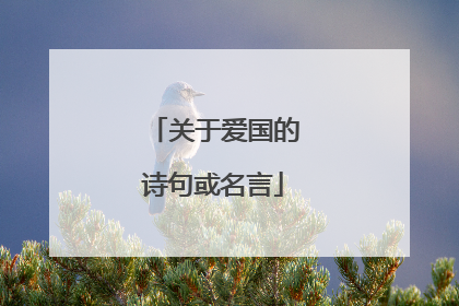 关于爱国的诗句或名言