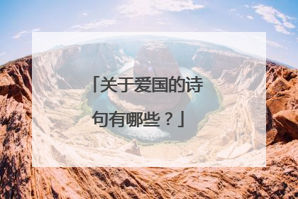关于爱国的诗句有哪些?