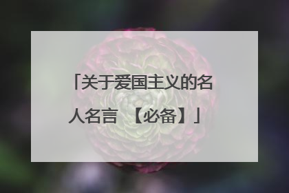 关于爱国主义的名人名言 【必备】