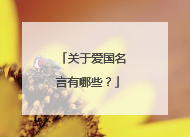 关于爱国名言有哪些?